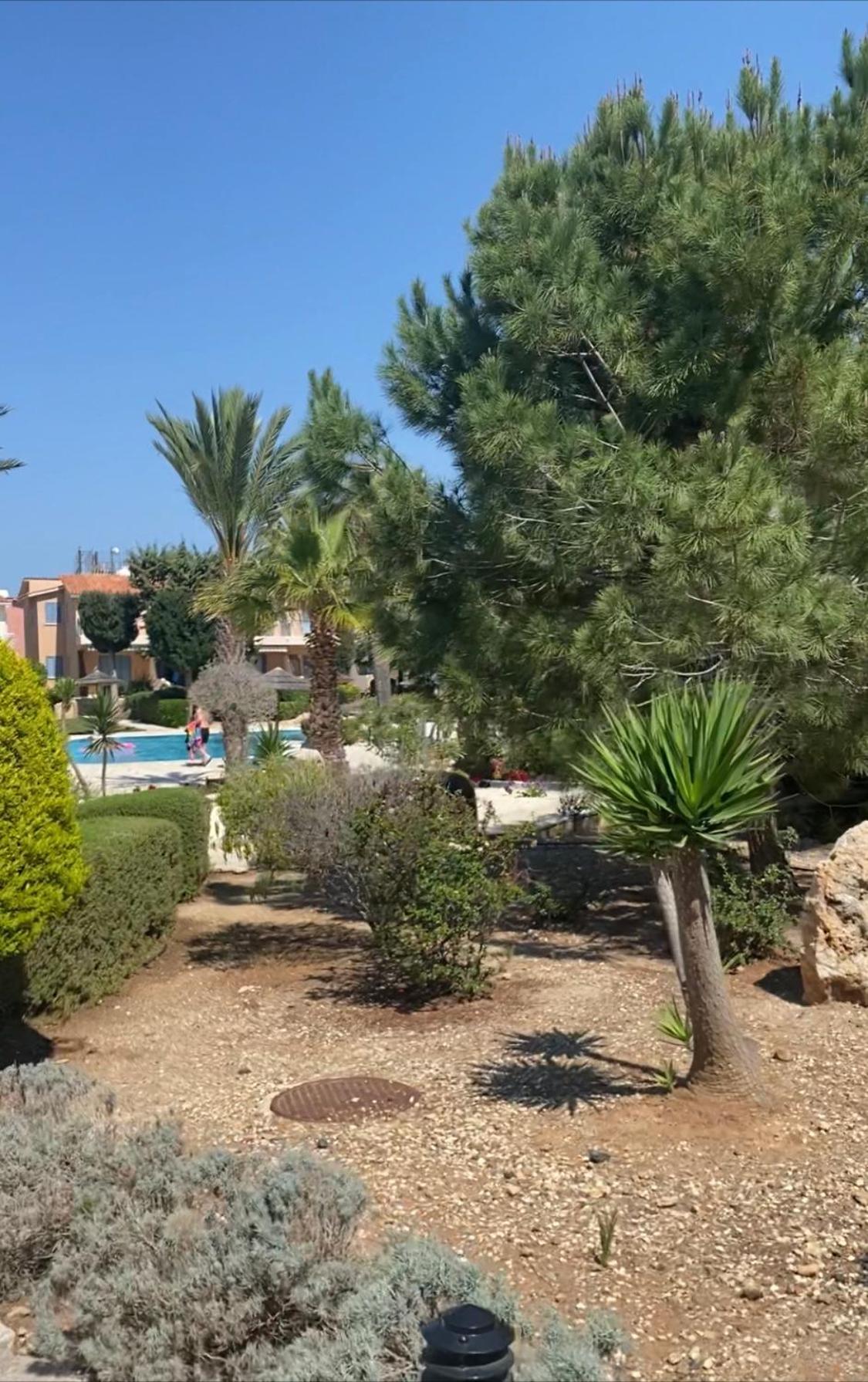 Newly Renovated- Regina Gardens 1, Venus Beach 500 M, Sea&Sunsets View, License Ooo7141 Paphos Bagian luar foto