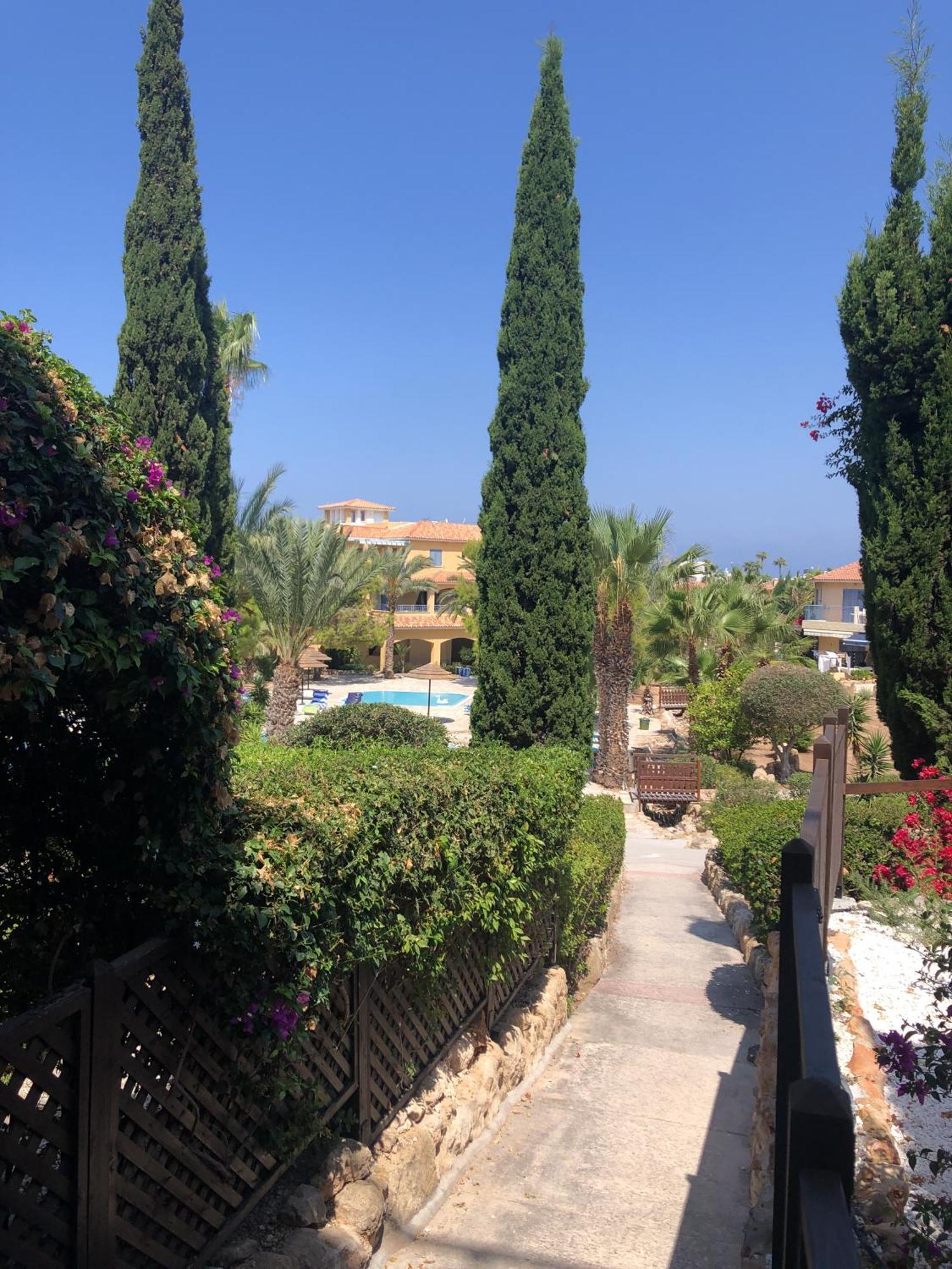 Newly Renovated- Regina Gardens 1, Venus Beach 500 M, Sea&Sunsets View, License Ooo7141 Paphos Bagian luar foto